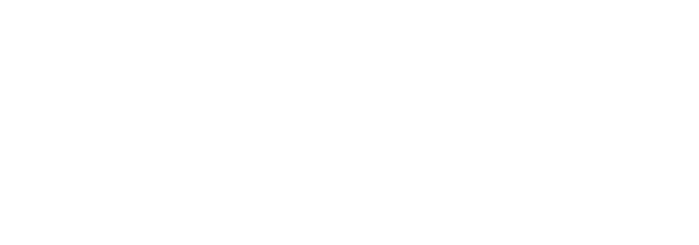 White simplified PoleFX logo